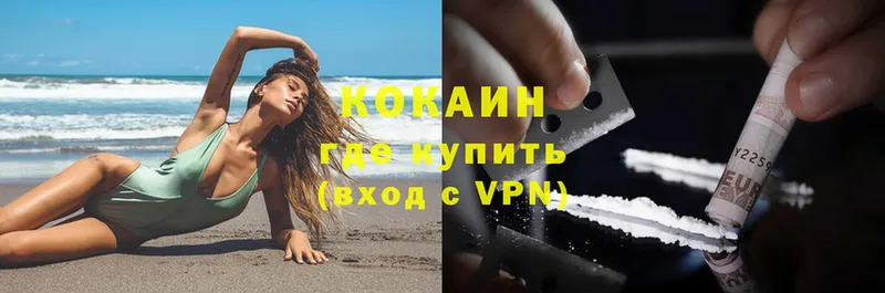 kraken как войти  Сорочинск  Cocaine Fish Scale 